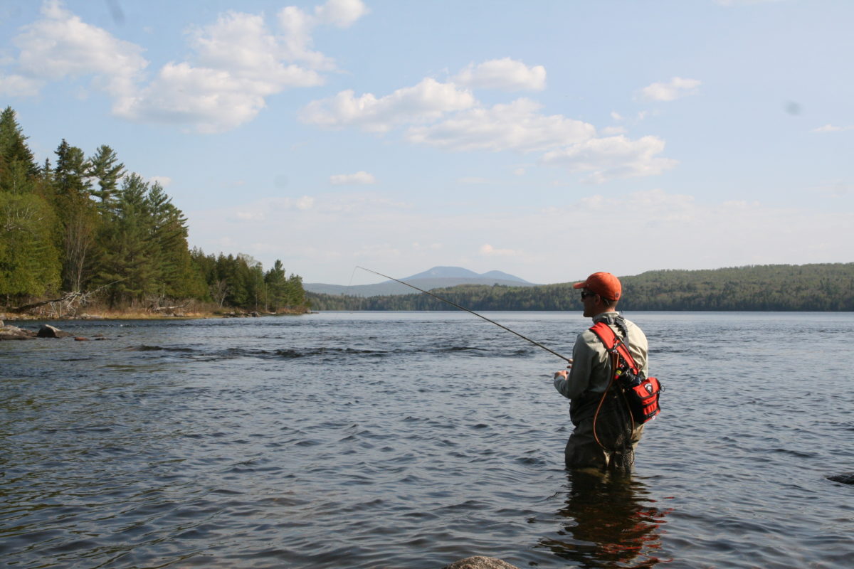 In Thanksgiving of Fly Fishing - Casting Across